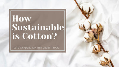 Cotton, how sustainable is it?
