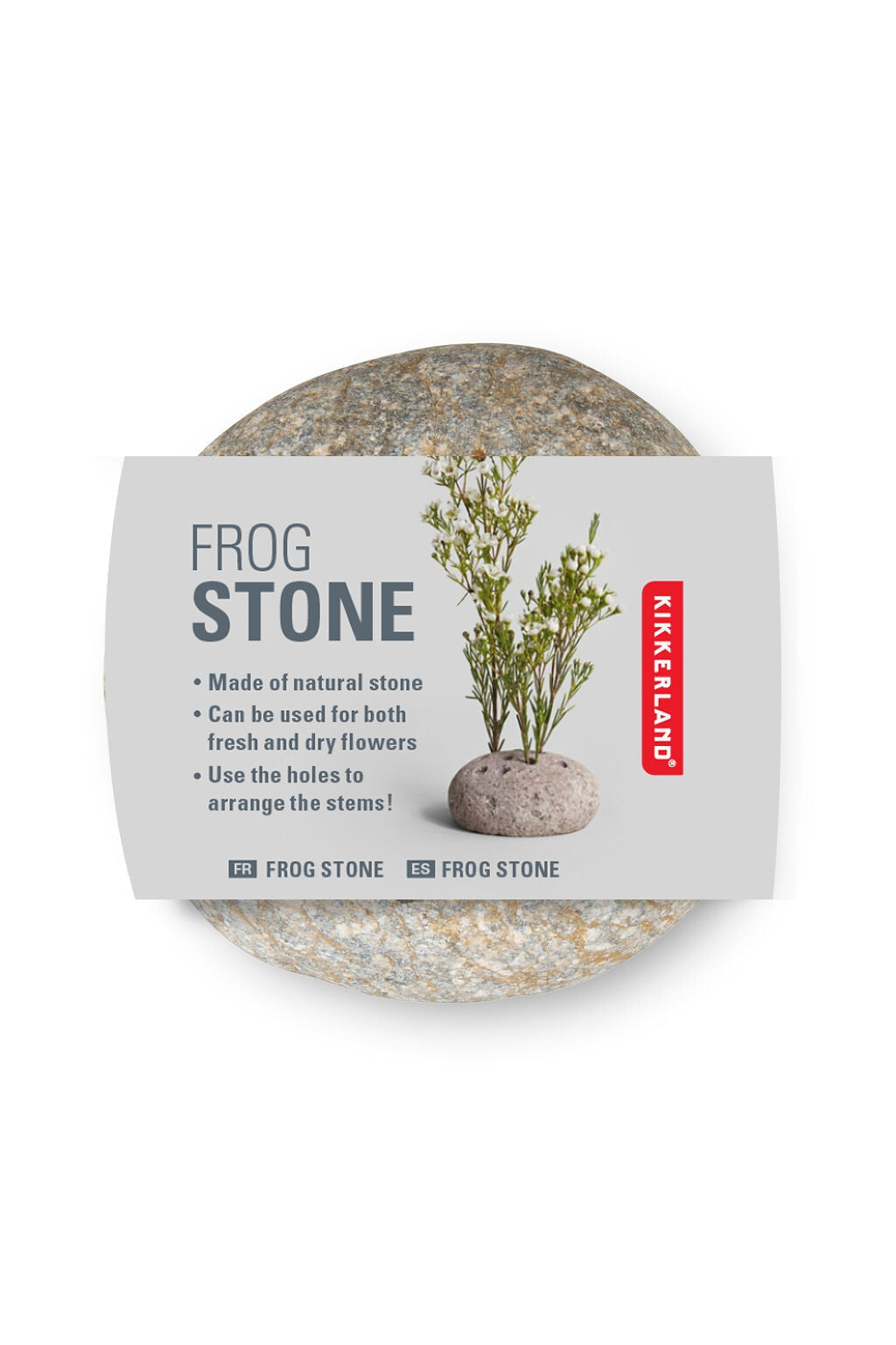 Kikkerland Frog Stone-Gifts-Ohh! By Gum - Shop Sustainable