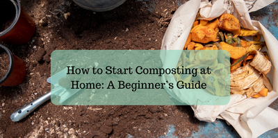 How to Start Composting at Home: A Beginner’s Guide