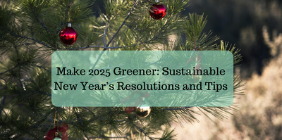 Make 2025 Greener: Sustainable New Year’s Resolutions and Tips