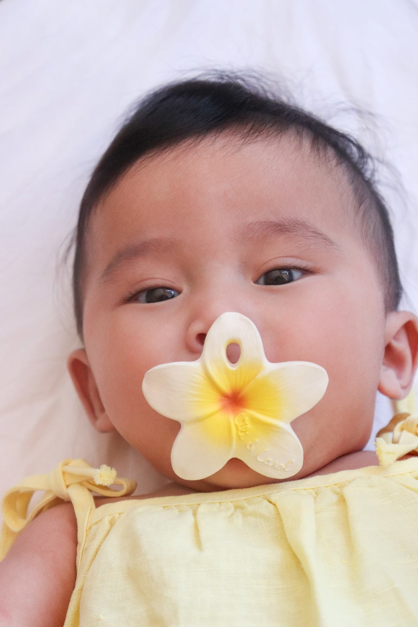 Babies Teethers & Bibs