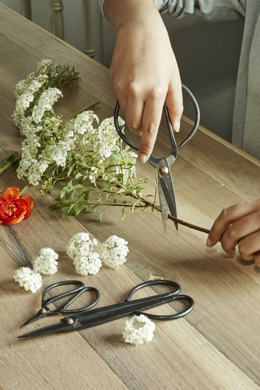 Garden Tools