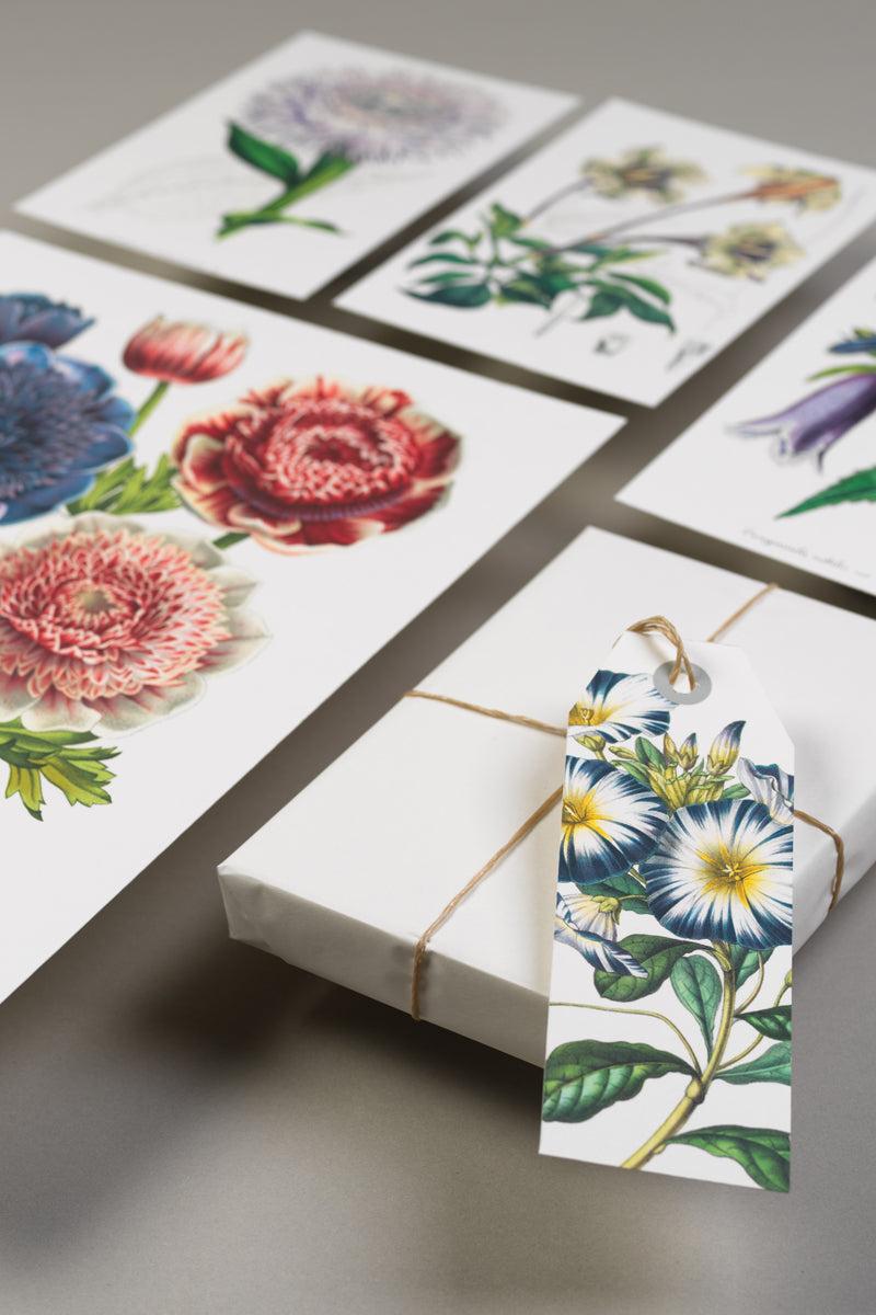 Gifts & Stationery