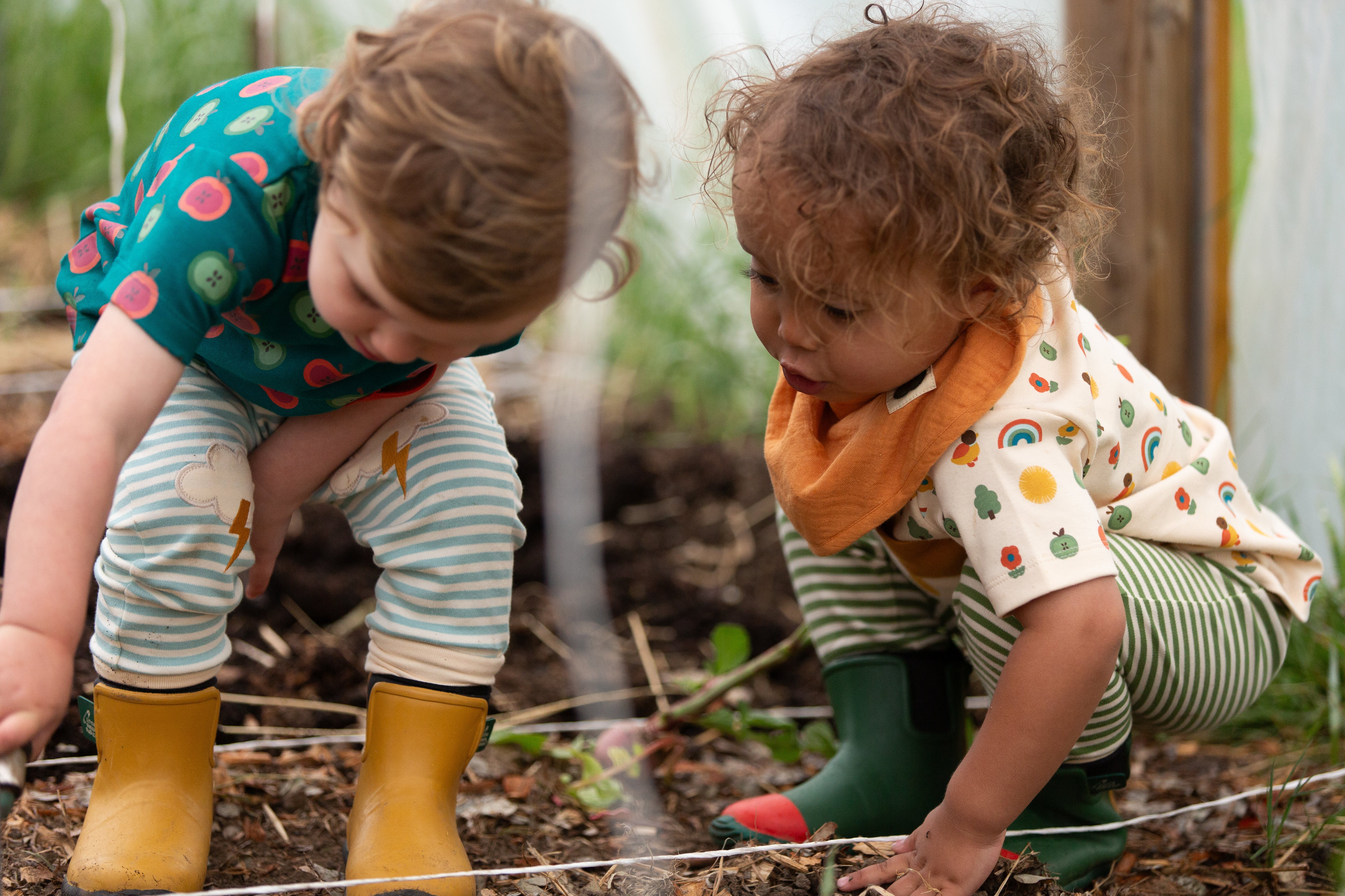 Little Green Radicals