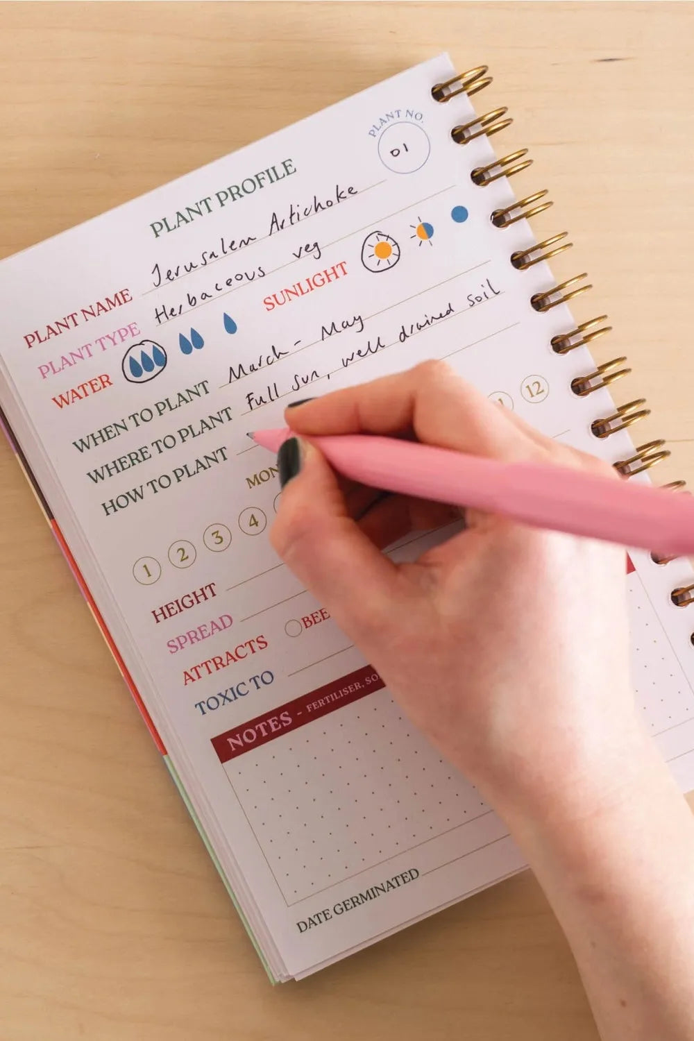 Hand holding a pink pen over a plant profile sheet on a wooden surface