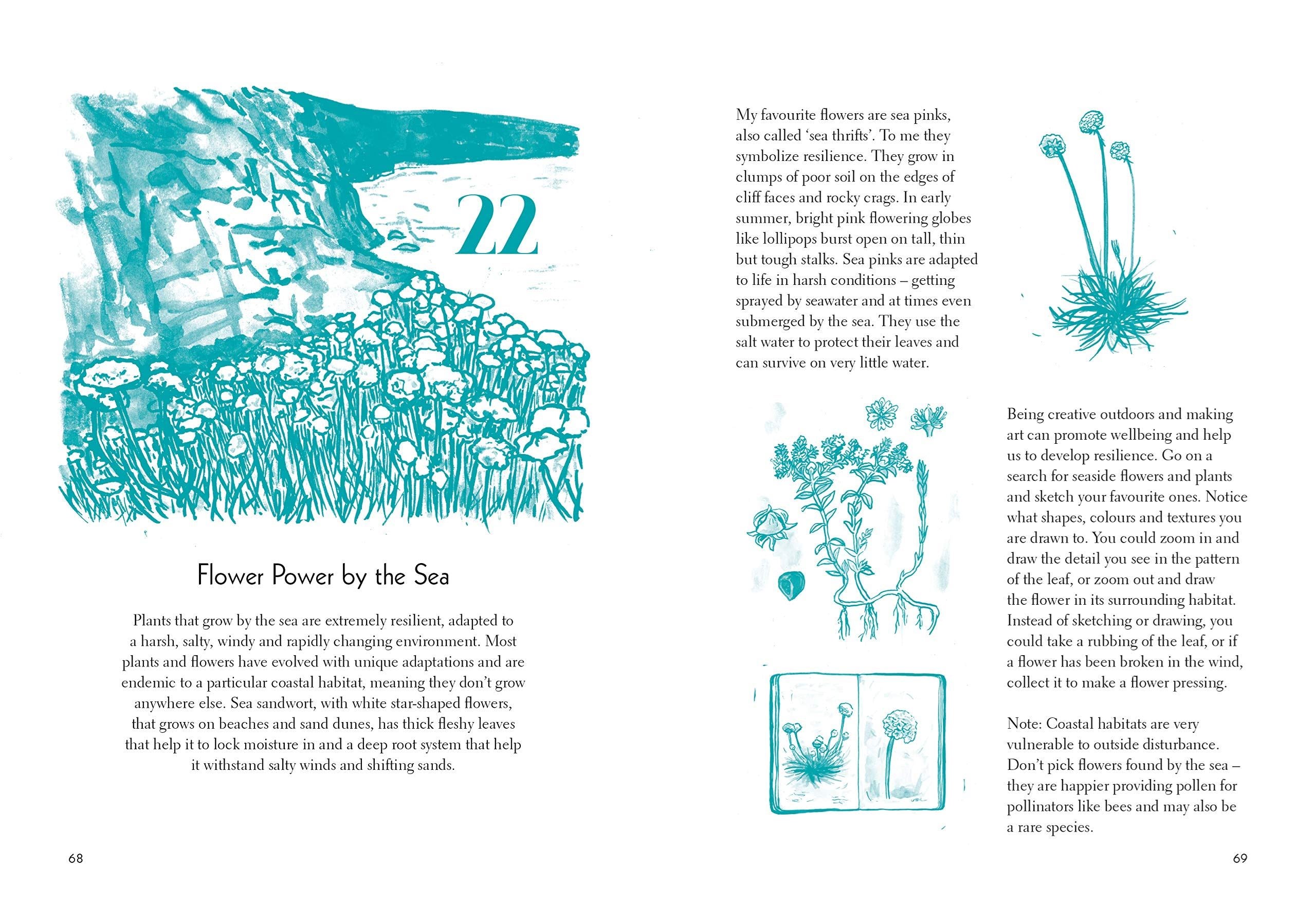 50 Things To Do By The Sea