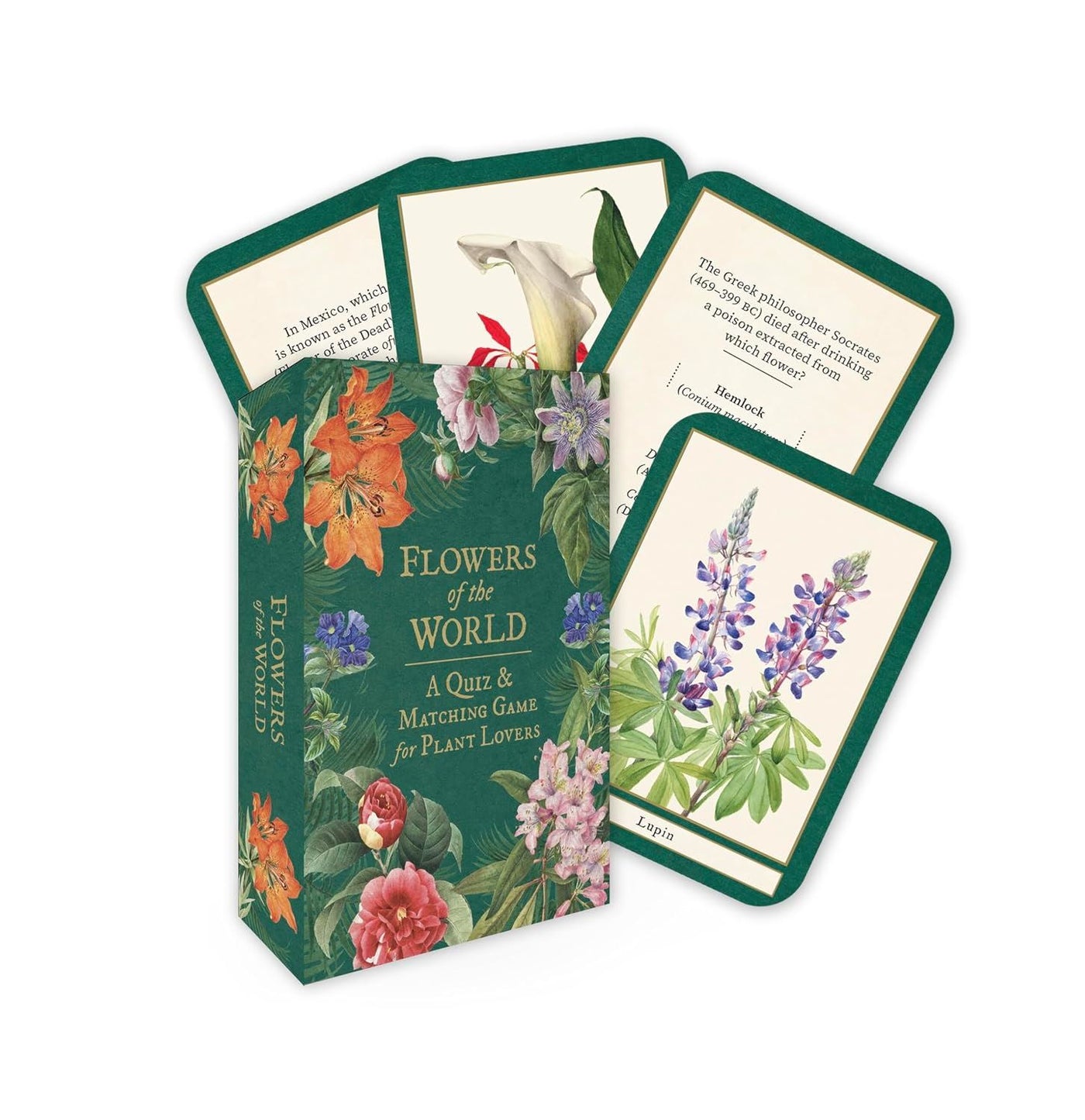FLOWERS OF THE WORLD: A QUIZ AND  MATCHING GAME (DECK)