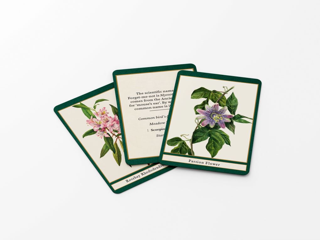 FLOWERS OF THE WORLD: A QUIZ AND  MATCHING GAME (DECK)