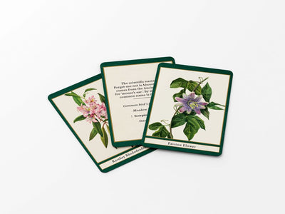 FLOWERS OF THE WORLD: A QUIZ AND  MATCHING GAME (DECK)