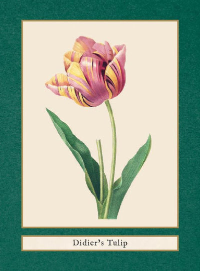 FLOWERS OF THE WORLD: A QUIZ AND  MATCHING GAME (DECK)