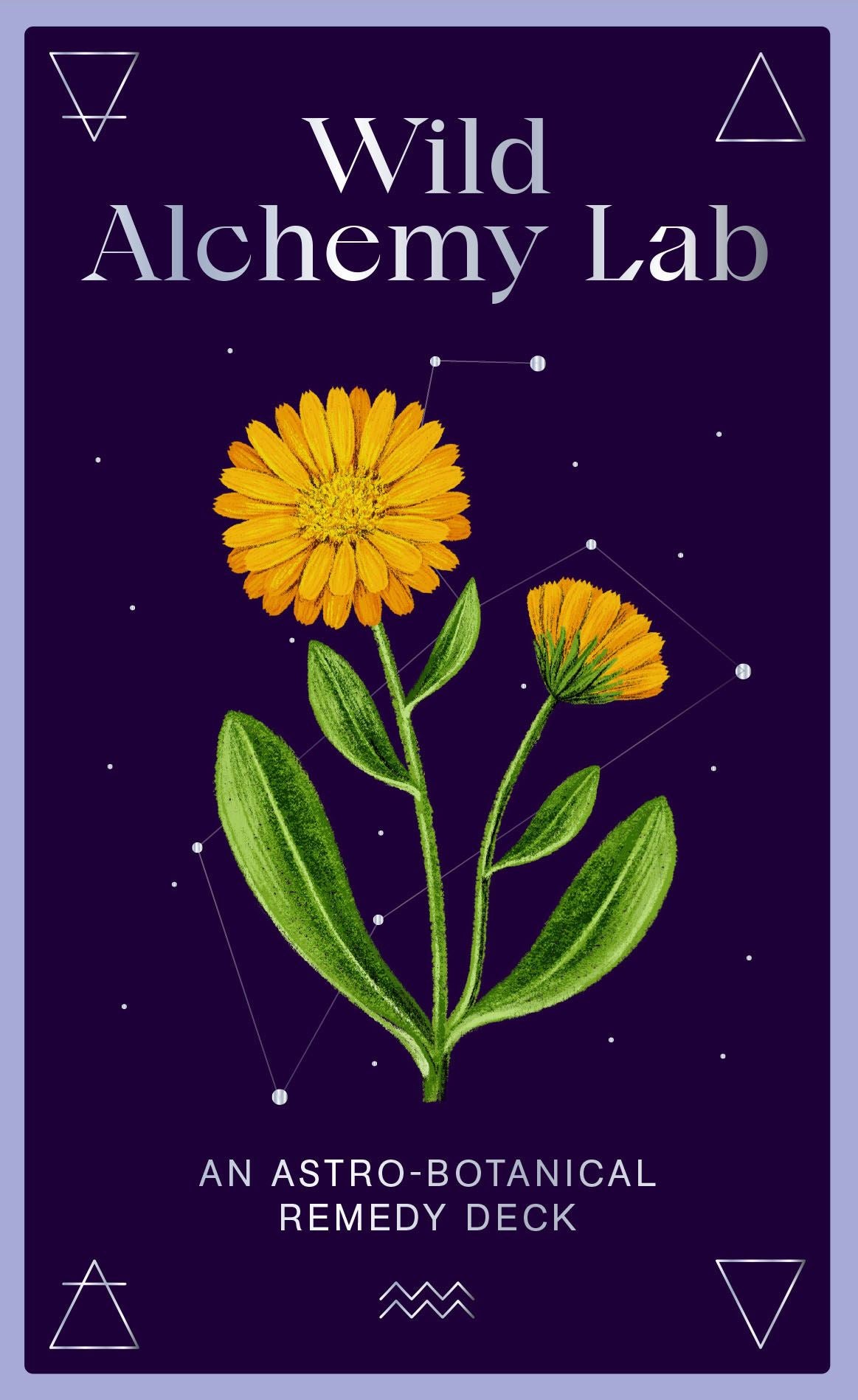 WILD ALCHEMY LAB: AN ASTRO BOTANICAL REMEDY  DECK (CARDS)