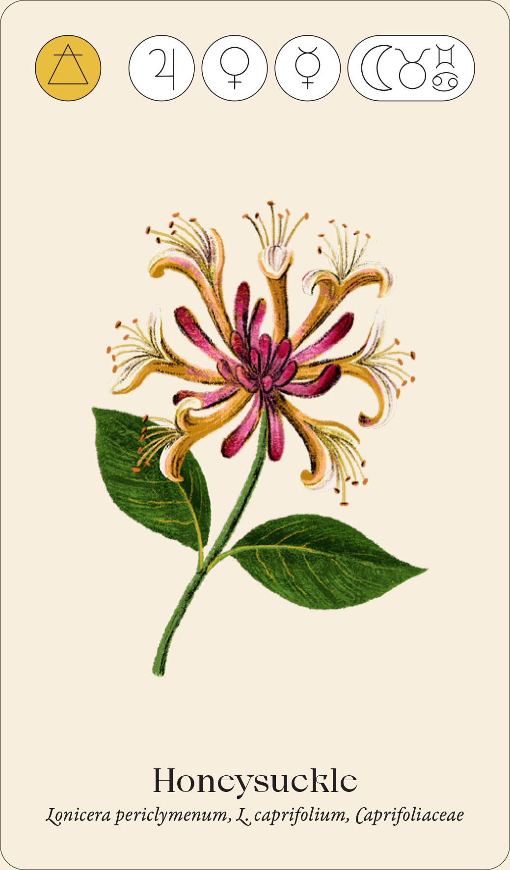 WILD ALCHEMY LAB: AN ASTRO BOTANICAL REMEDY  DECK (CARDS)