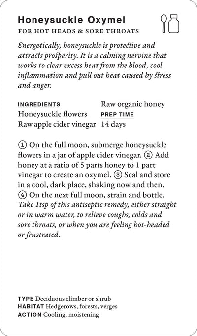 WILD ALCHEMY LAB: AN ASTRO BOTANICAL REMEDY  DECK (CARDS)