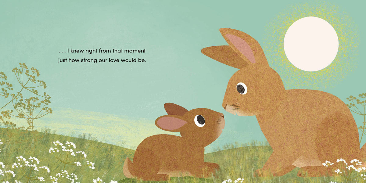 Two rabbits facing each other in a field with a sun in the background