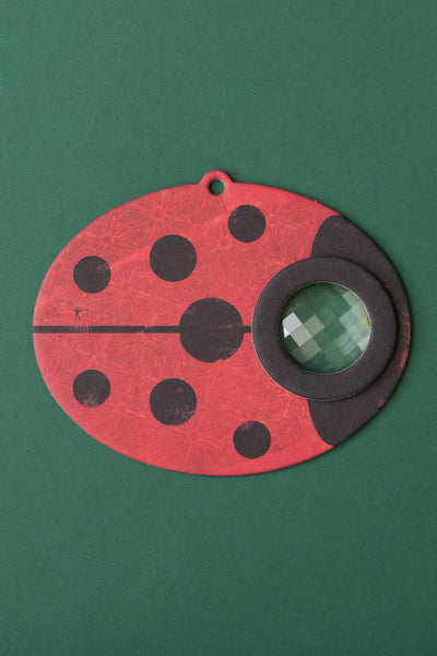 Londji Bee Eye - LADYBIRD
