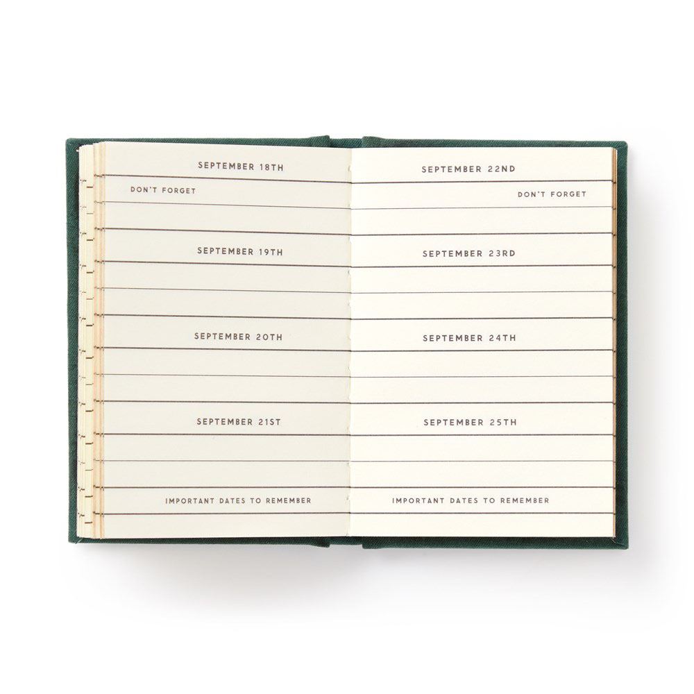 Calendar with handwritten dates and reminders on a white background