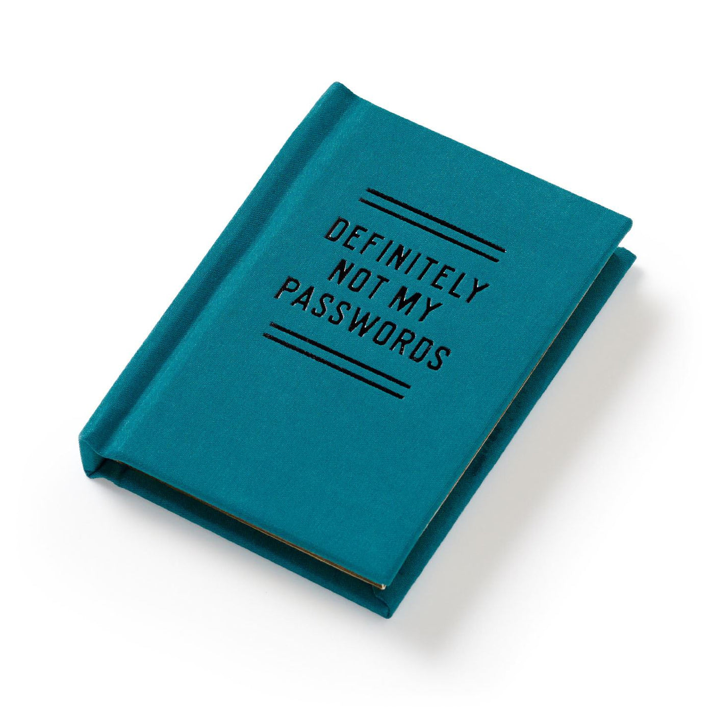 Teal notebook with 'DEFINITELY NOT MY PASSWORDS' text on a white background