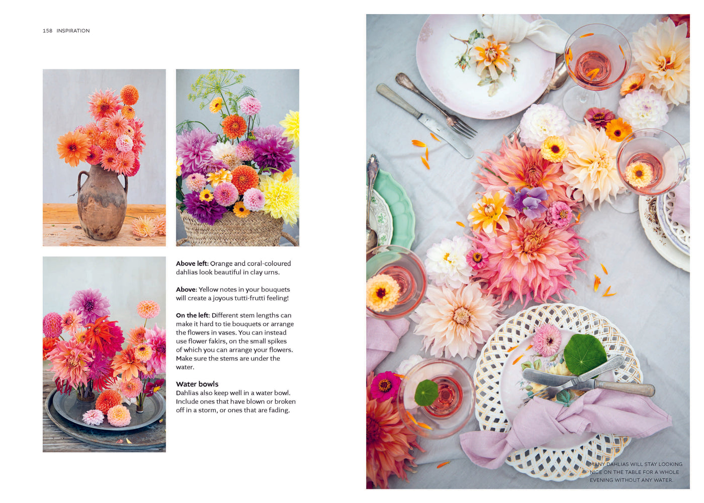 Dahlias: Cultivation Care Inspiration-Books-Ohh! By Gum - Shop Sustainable