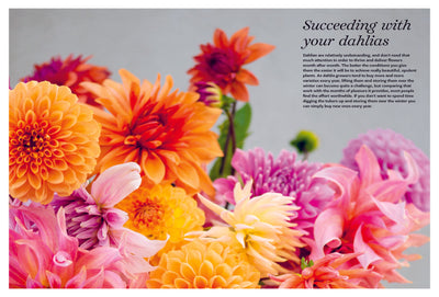 Dahlias: Cultivation Care Inspiration-Books-Ohh! By Gum - Shop Sustainable