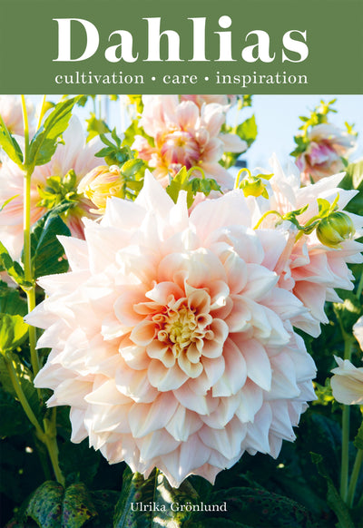 Dahlias: Cultivation Care Inspiration-Books-Ohh! By Gum - Shop Sustainable