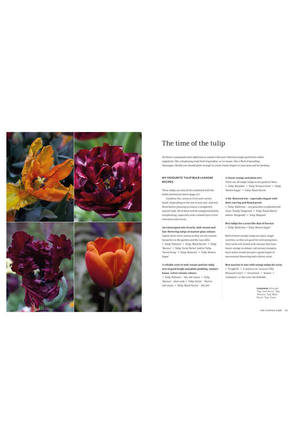 FLOWER YARD: PLANTING A PARADISE/ POTS AND POLLINATORS-Books-Ohh! By Gum - Shop Sustainable