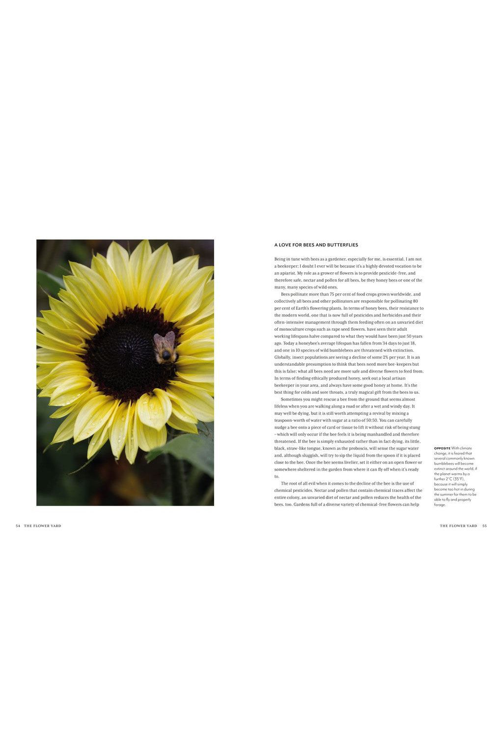 FLOWER YARD: PLANTING A PARADISE/ POTS AND POLLINATORS-Books-Ohh! By Gum - Shop Sustainable