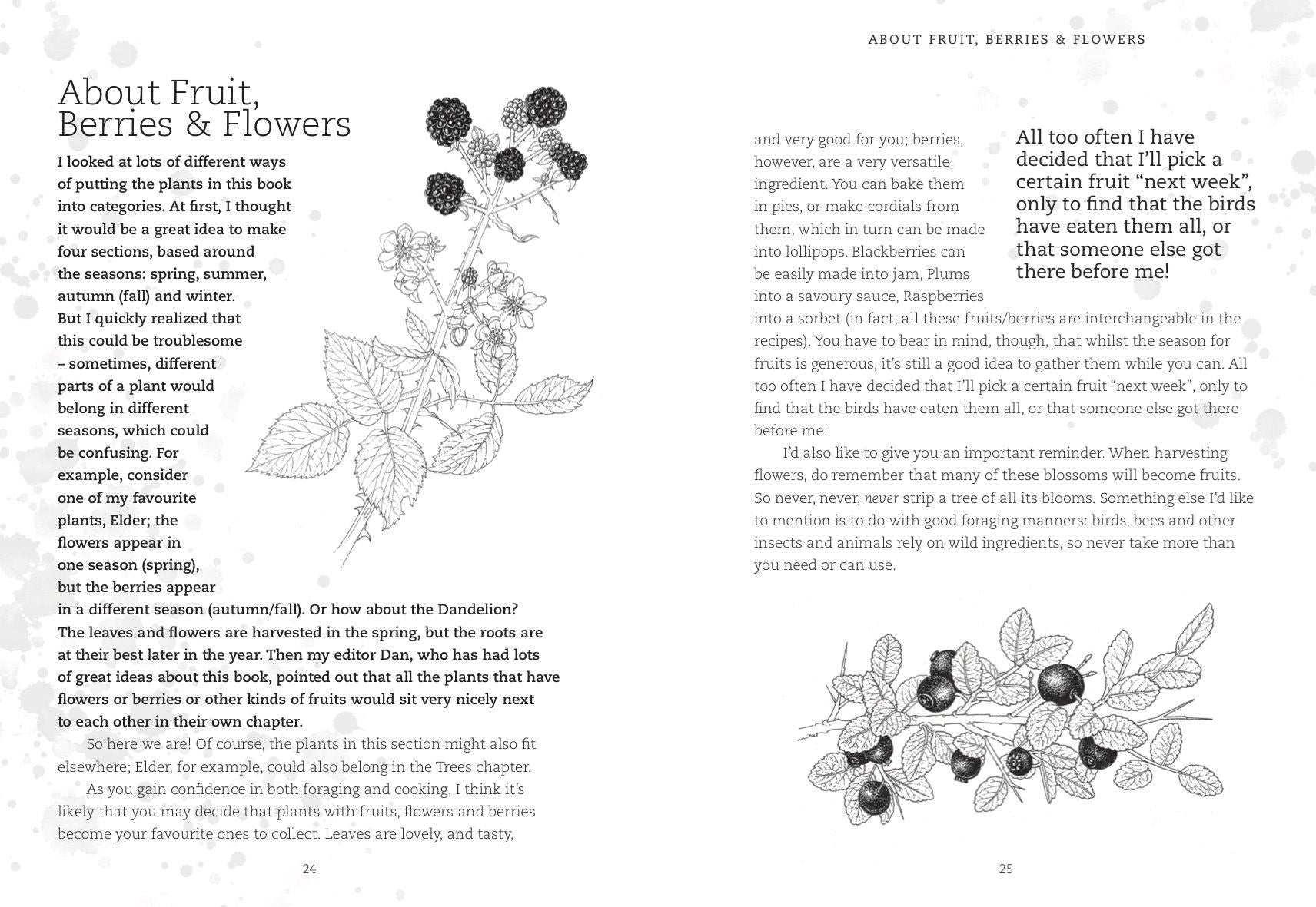 FORAGING WITH KIDS