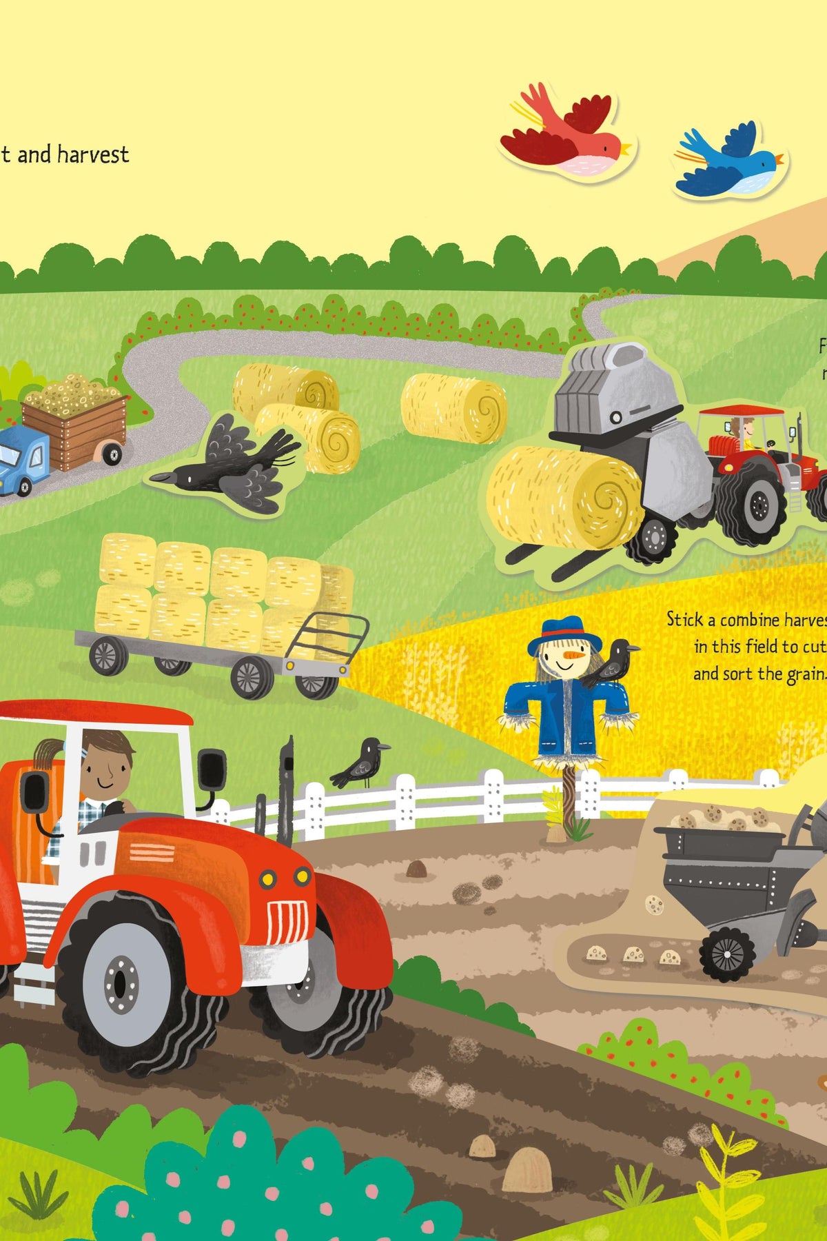 First Sticker Book Farm