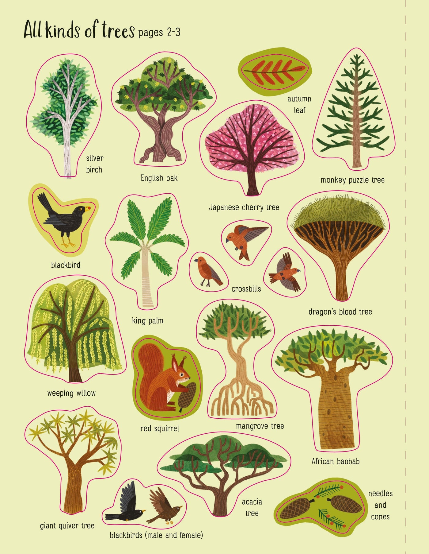 First Sticker Book: Trees-Books-Ohh! By Gum - Shop Sustainable