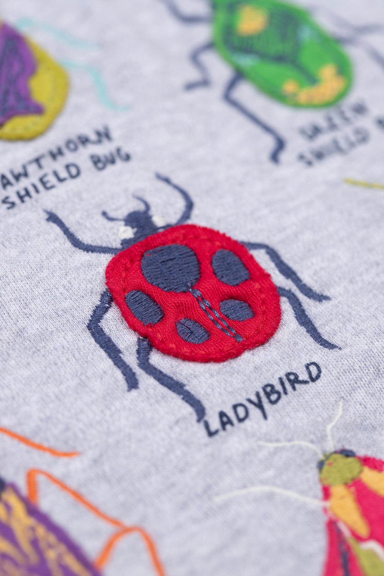 Close up of red ladybird on GOTS organic cotton hooded top 