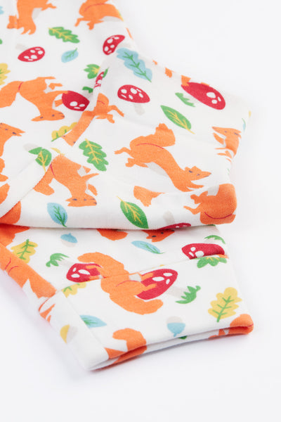 Frugi Frankie Outfit in Bumblebee Stripe/Squirrel Friends
