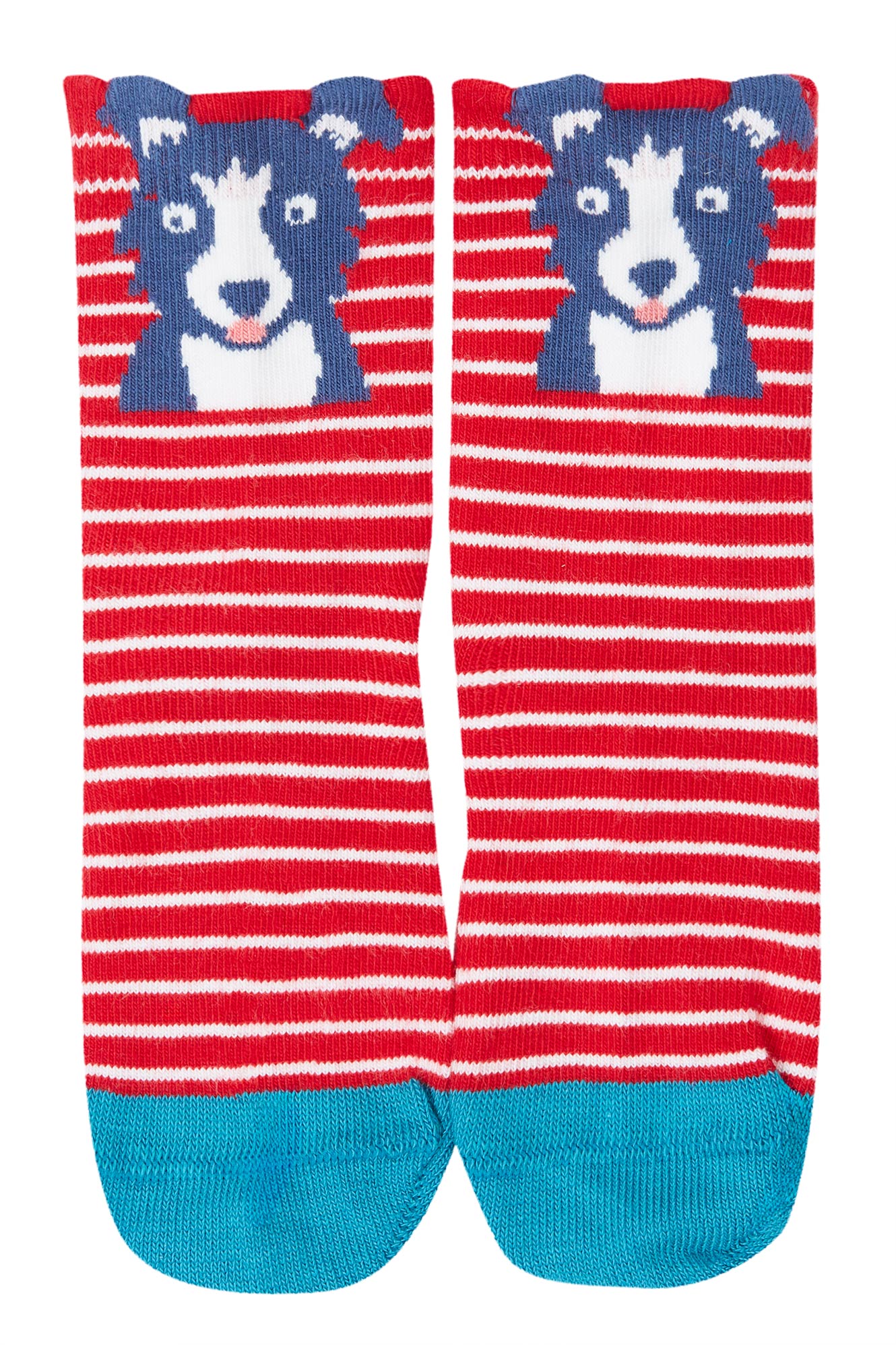 Red and white striped organic cotton socks with a blue dog design on a white background
