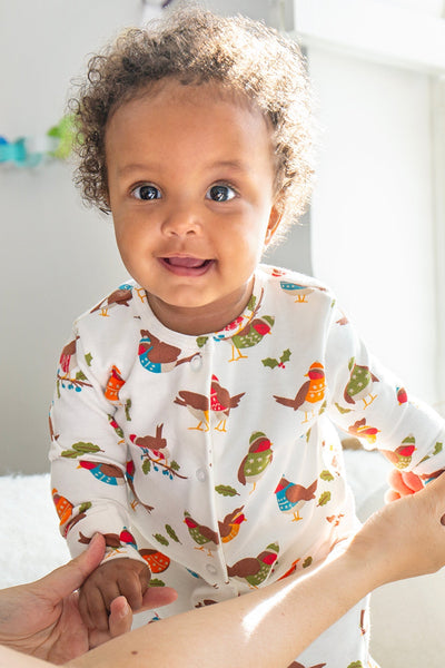 Frugi Switch Lovely Babygrow in Soft White Robins-Kids-Ohh! By Gum - Shop Sustainable