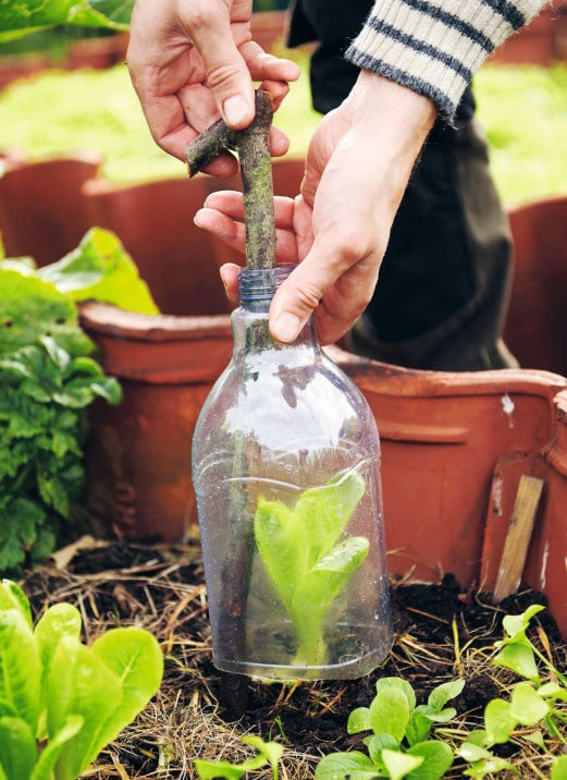 Garden Hacks (HB)-Books-Ohh! By Gum - Shop 