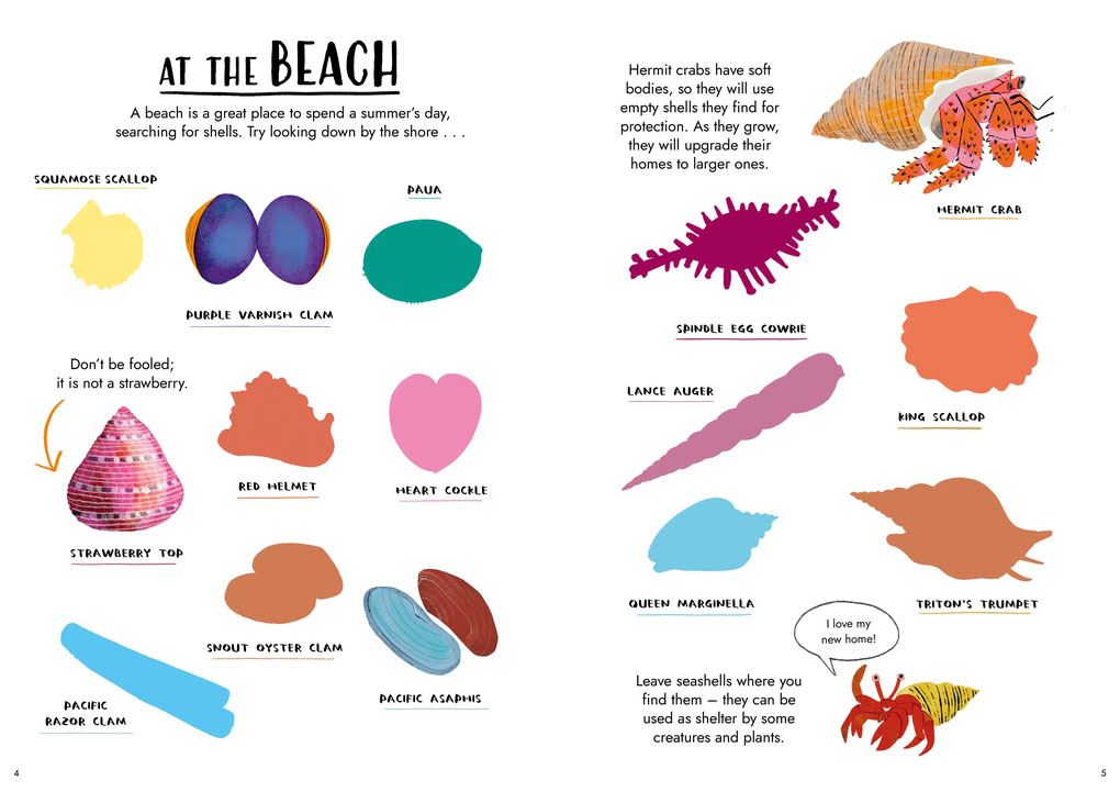 HELLO SUMMER: A STICKER ACTIVITY NATURE GUIDE (PB