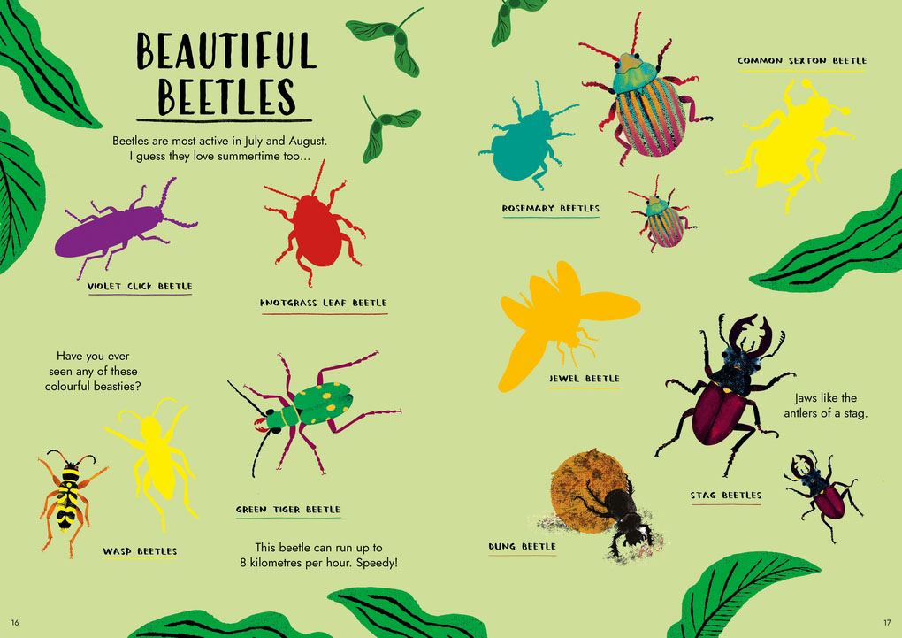 HELLO SUMMER: A STICKER ACTIVITY NATURE GUIDE (PB