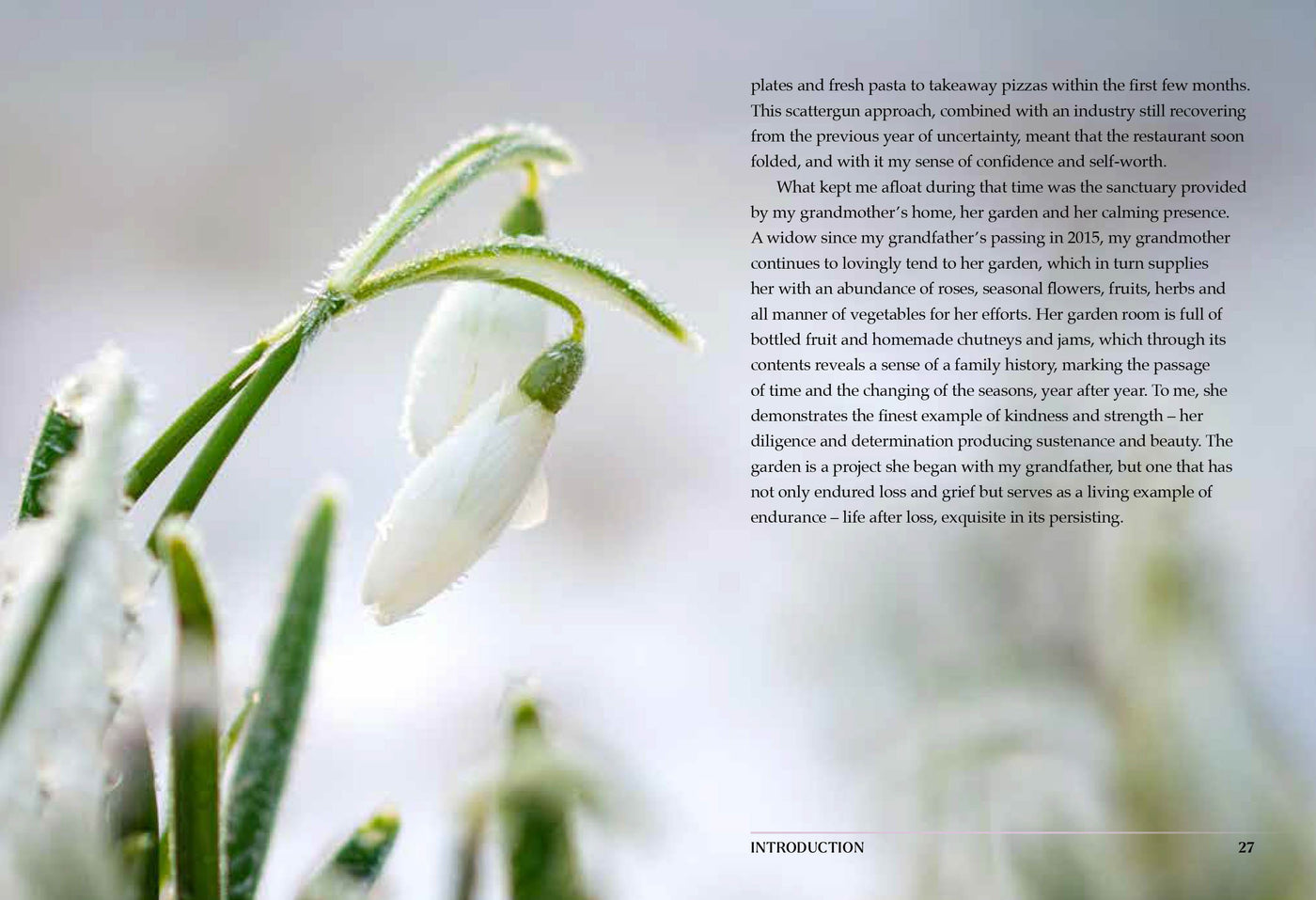 JOY OF WINTERING (HB)