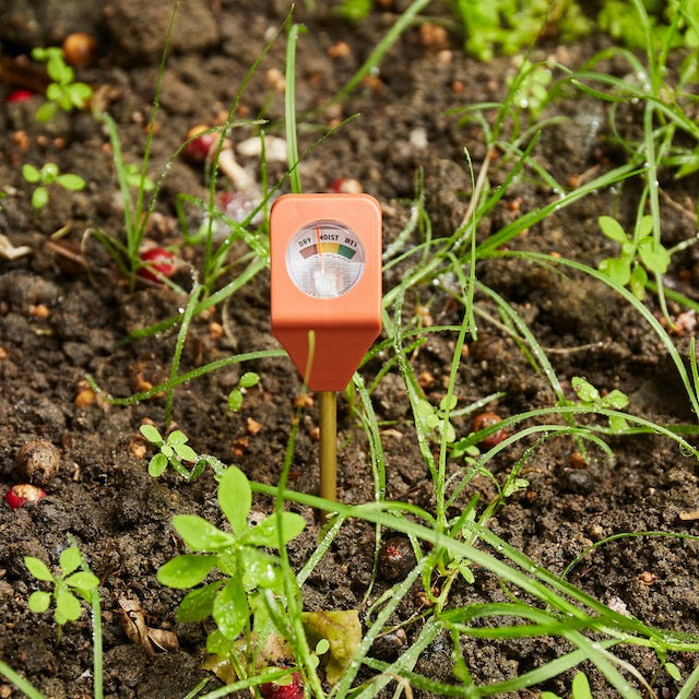 Kikkerland Garden Hydrometer-Homeware-Ohh! By Gum - Shop Sustainable