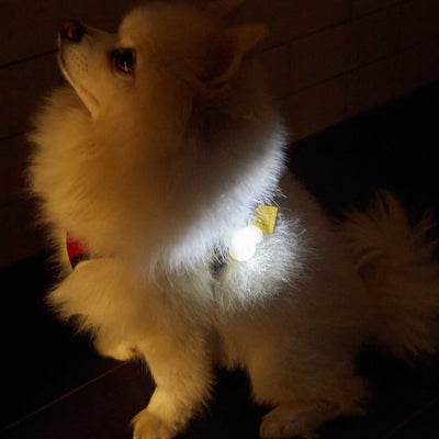 Kikkerland Light Up Name Tag