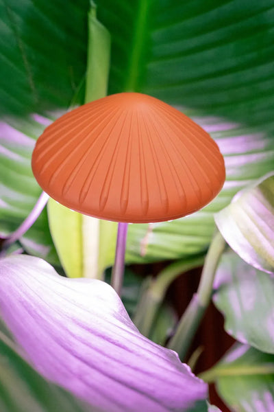Kikkerland Mushroom Grow Light