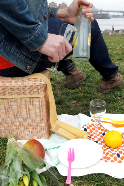 Kikkerland Wicker Picnic Cooler Seat