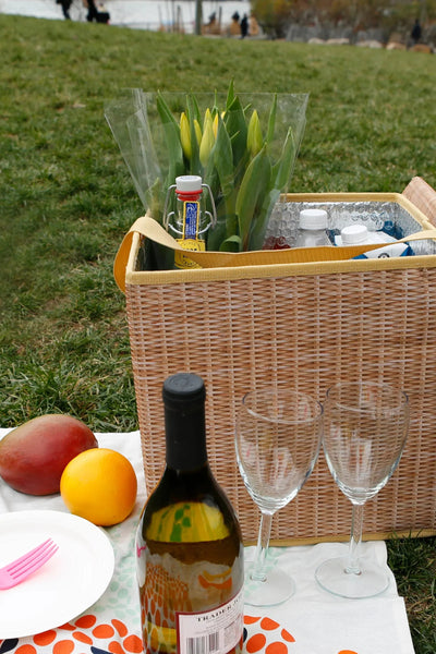 Kikkerland Wicker Picnic Cooler Seat