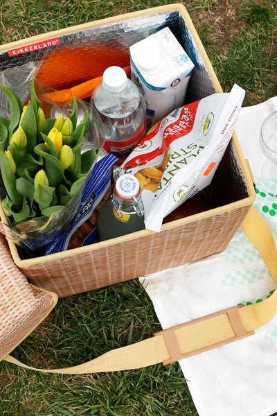 Kikkerland Wicker Picnic Cooler Seat