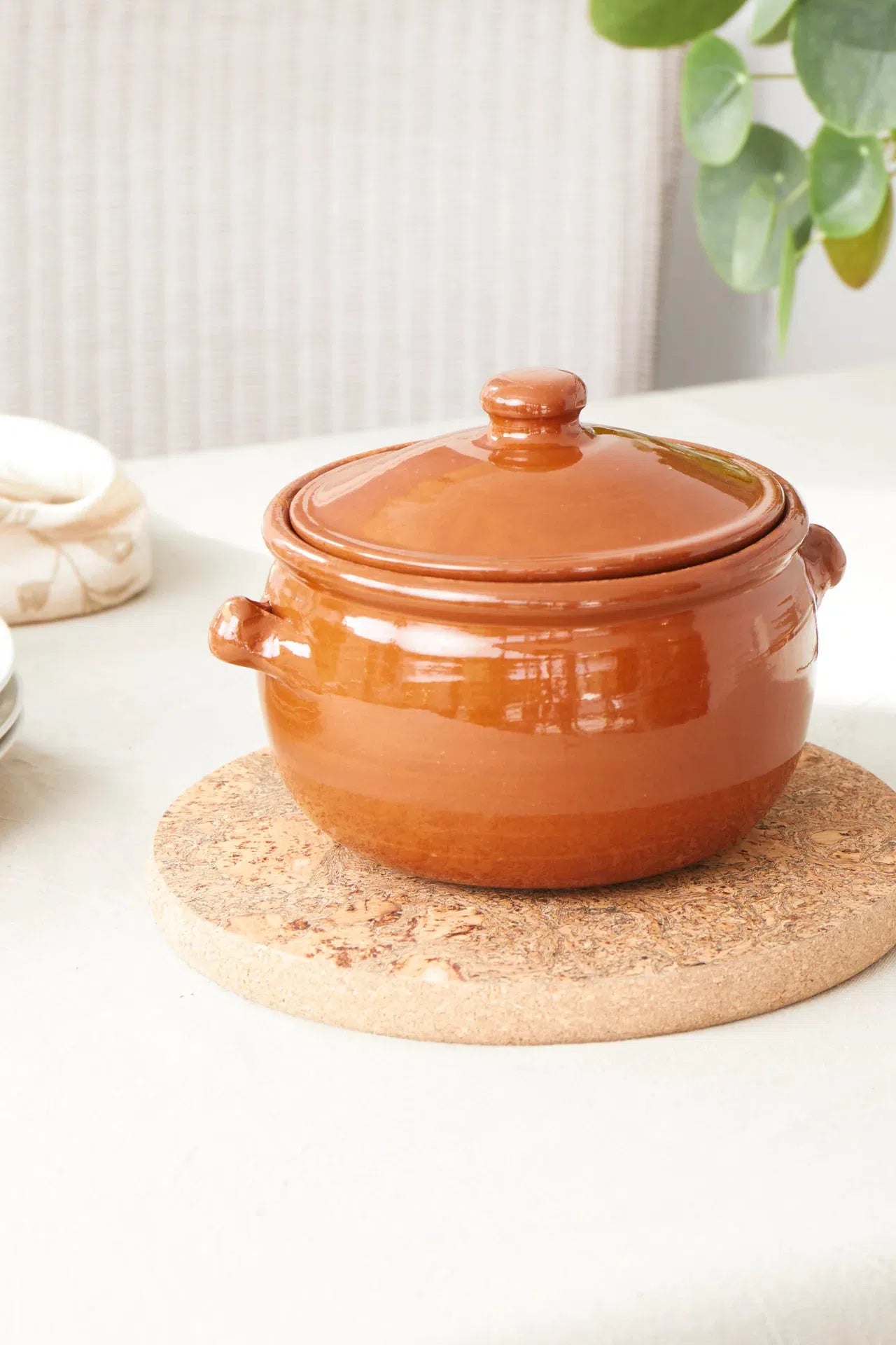 Liga Natural Cork Round Medium Trivet in use under a hot pot on a kitchen countertop.