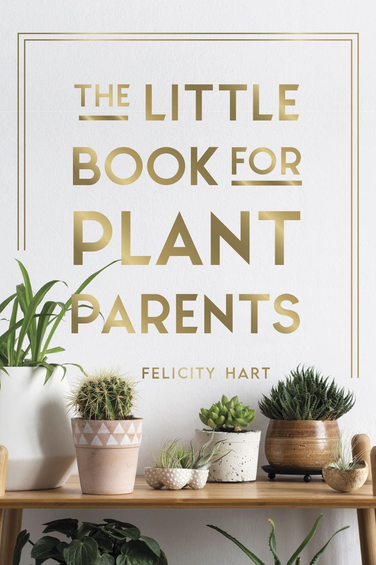 Little Book For Plant Parents-Books-Ohh! By Gum - Shop Sustainable