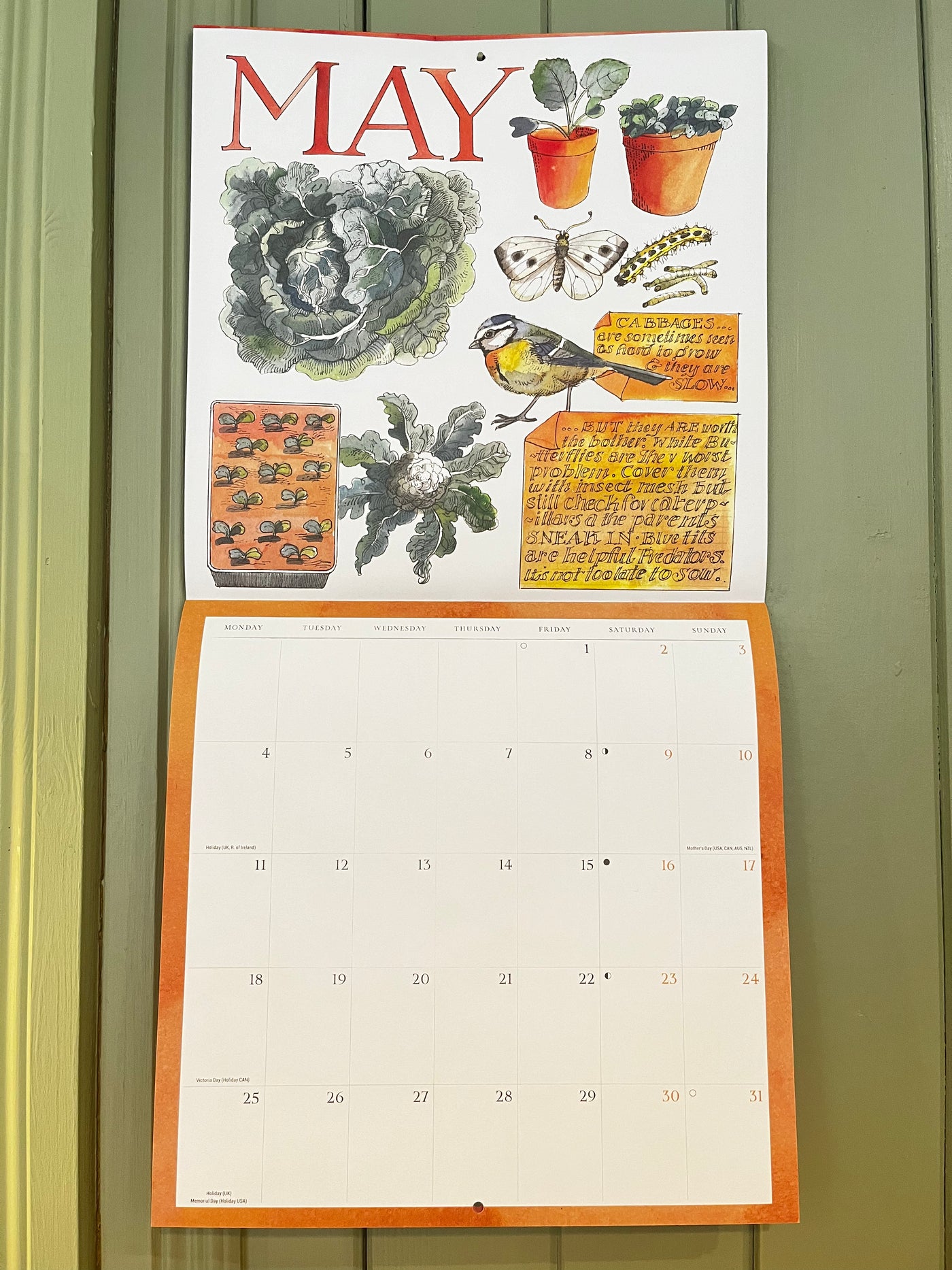 MATTHEW RICE A YEAR IN THE COUNTRY WALL  CALENDAR 2026