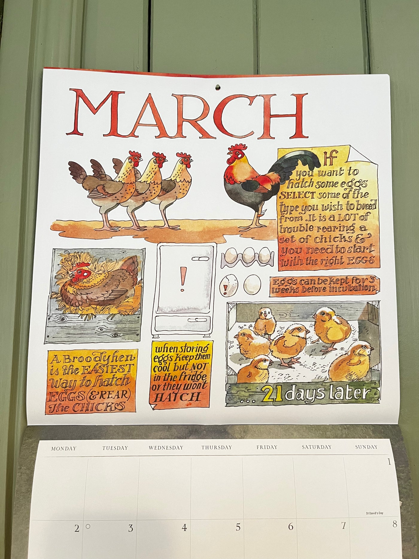 MATTHEW RICE A YEAR IN THE COUNTRY WALL  CALENDAR 2026