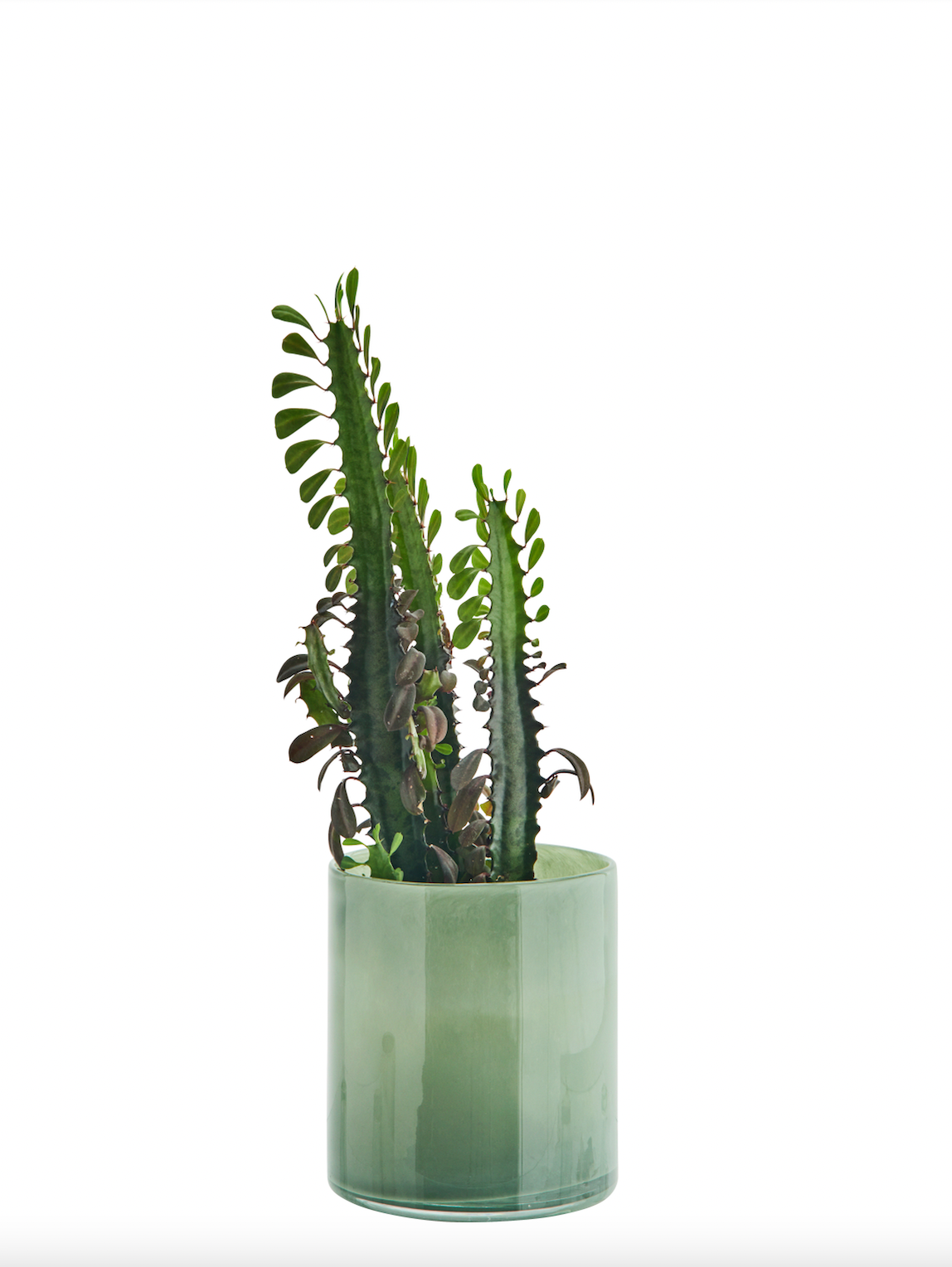 Madam Stoltz Glass Flower Pot