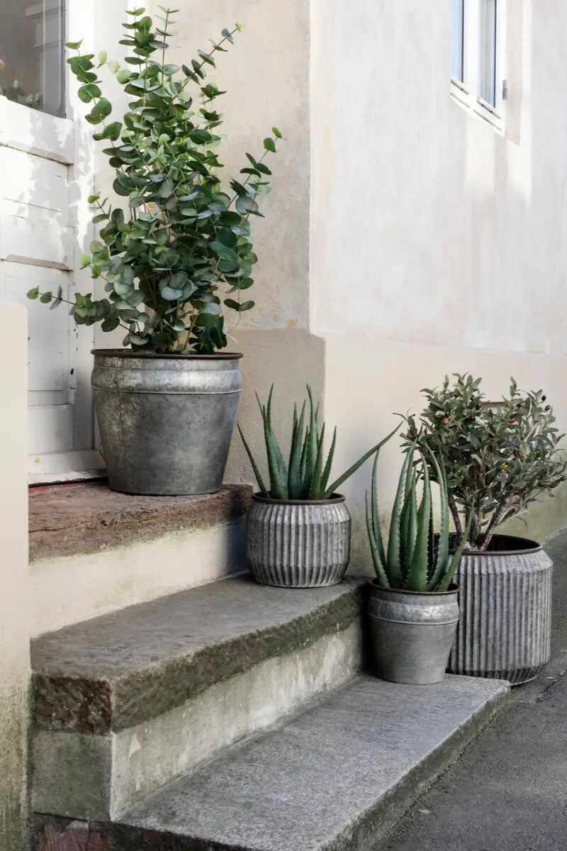 Madam Stoltz Round Galvanized Planters