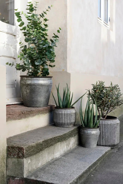 Madam Stoltz Round Galvanized Planters